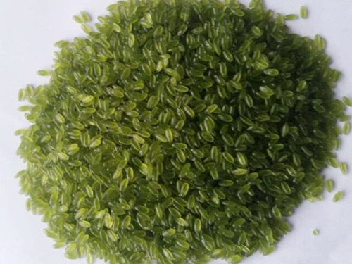 玉米雜糧設備,黃金米設備,玉米雜糧面條設備,雜糧速融粥設備,雜糧方便面設備,長春市盛達食品工業研究所機械廠